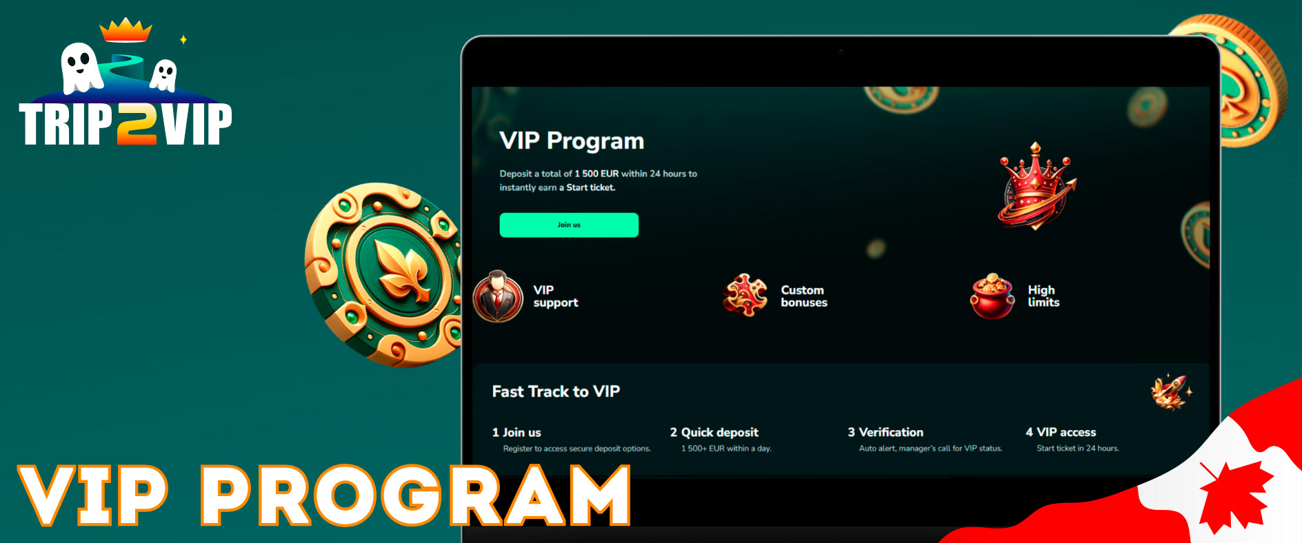 What the VIP program offers